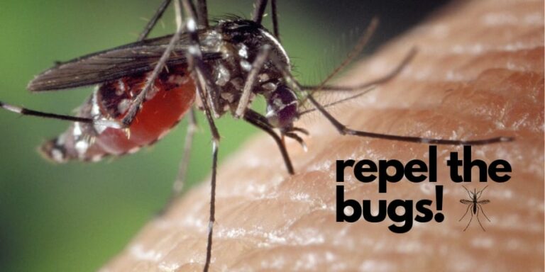 10 Backyard Bug Repellents That Will Help Keep the Bugs AWAY!