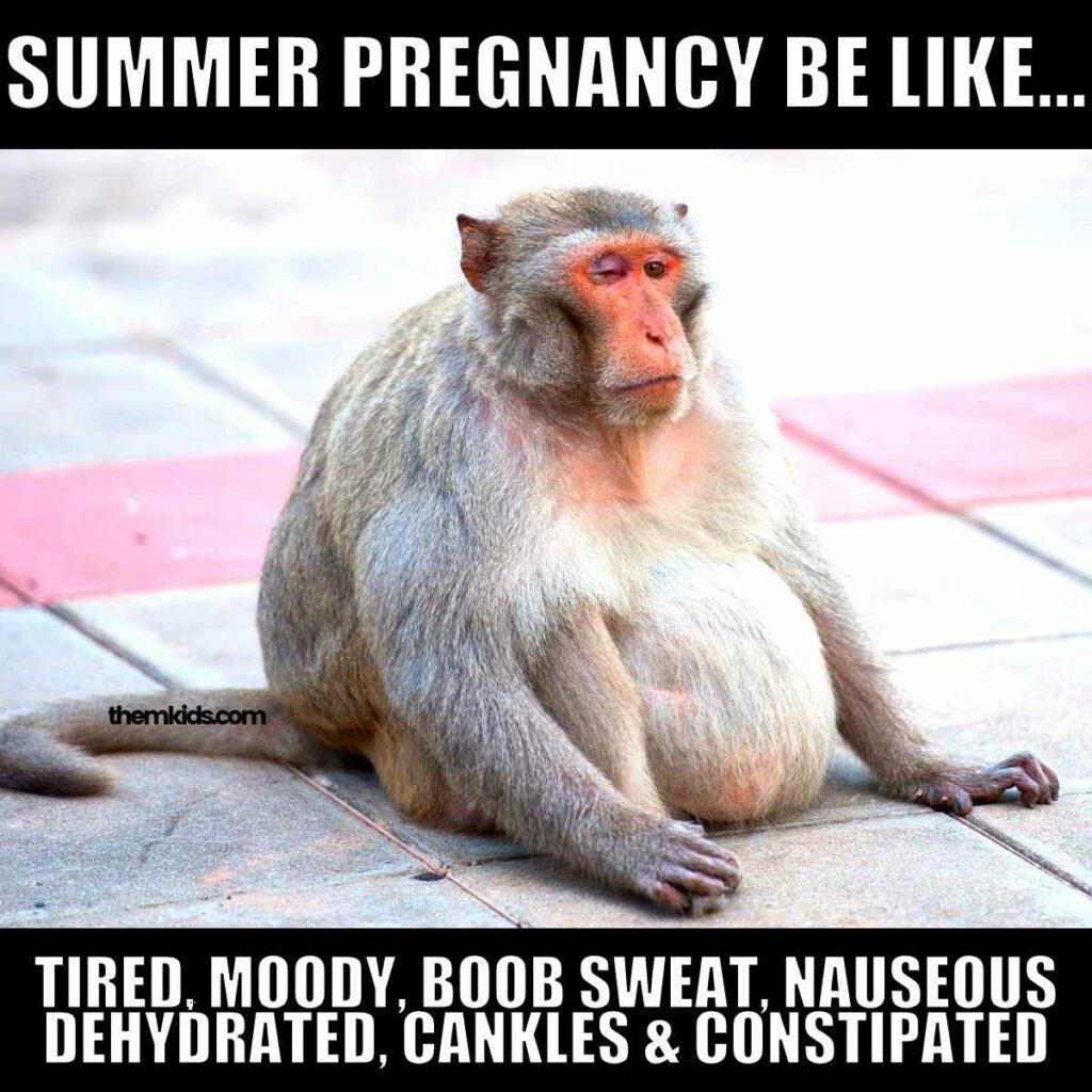 pregnant in the summer meme